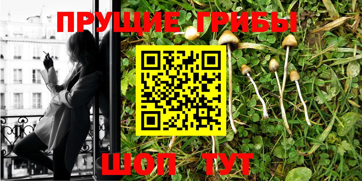 Касимов  Псилоцибиновые грибы Psilocybine cubensis  купить закладку  Вход с VPN 