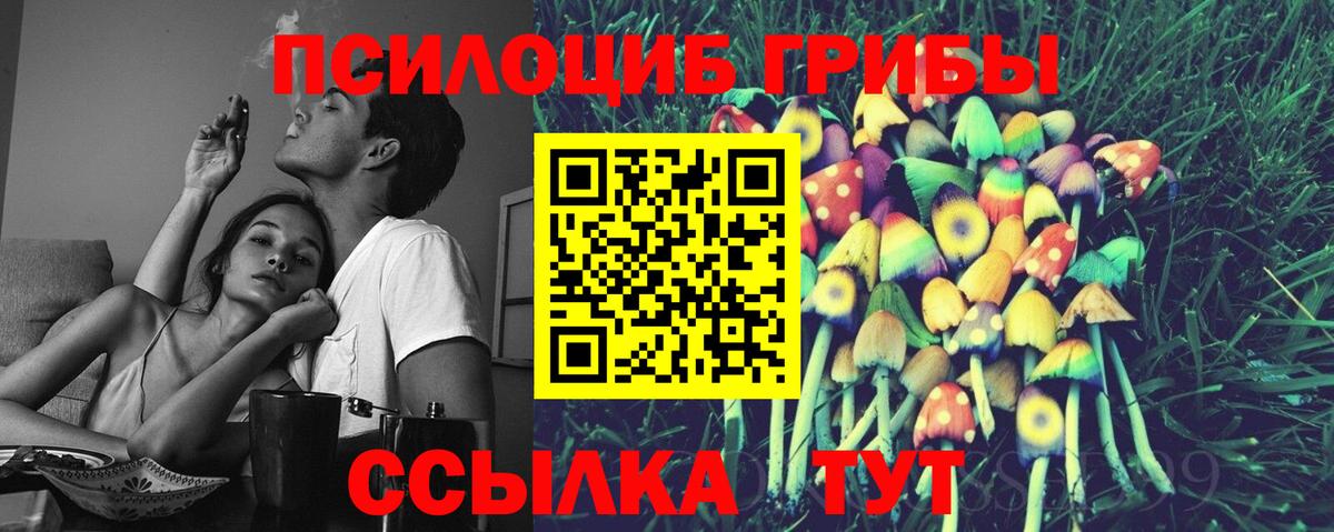 Галлюциногенные грибы MAGIC MUSHROOMS Касимов